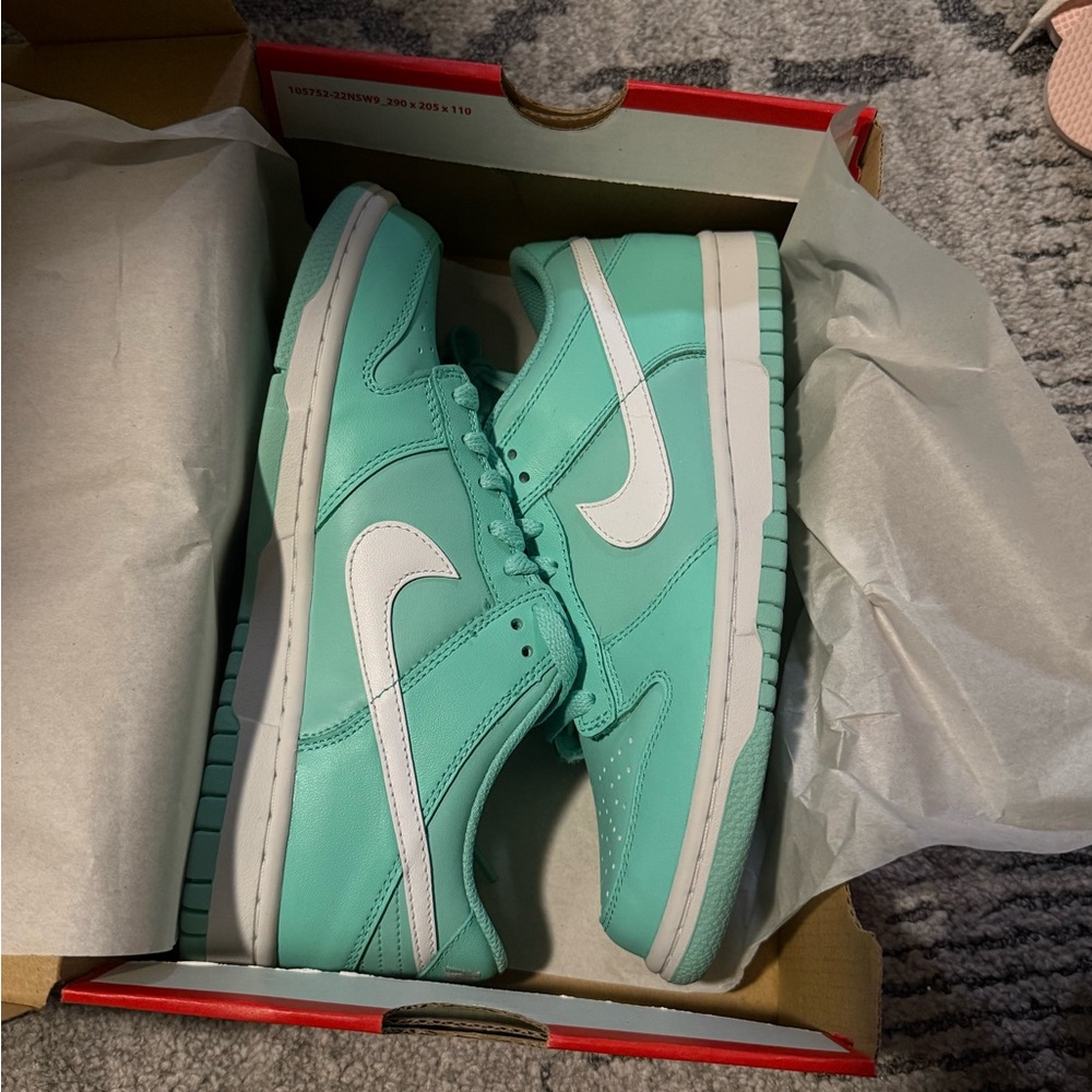 Nike Dunks Aqua and White Low-Top Sneakers
